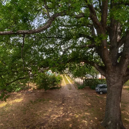 Apartment Sotto La Quercia - Welchome *