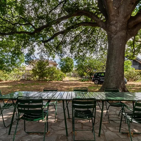 Sotto La Quercia - Welchome