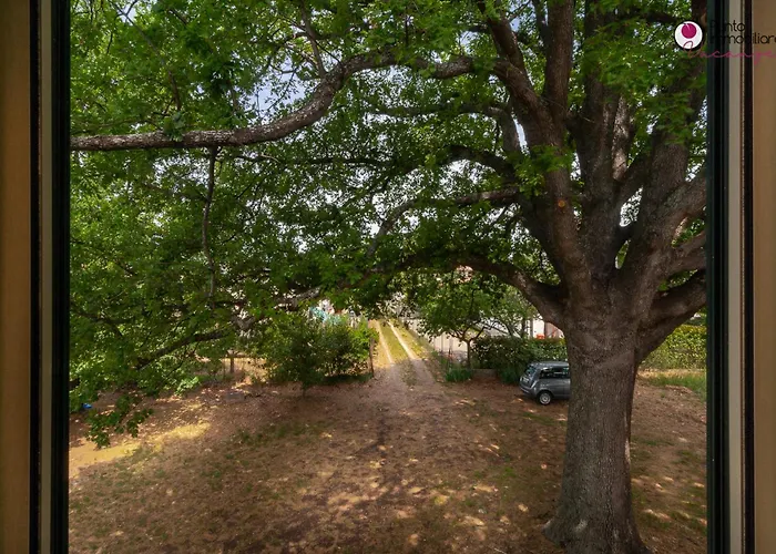 Διαμέρισμα Sotto La Quercia - Welchome *